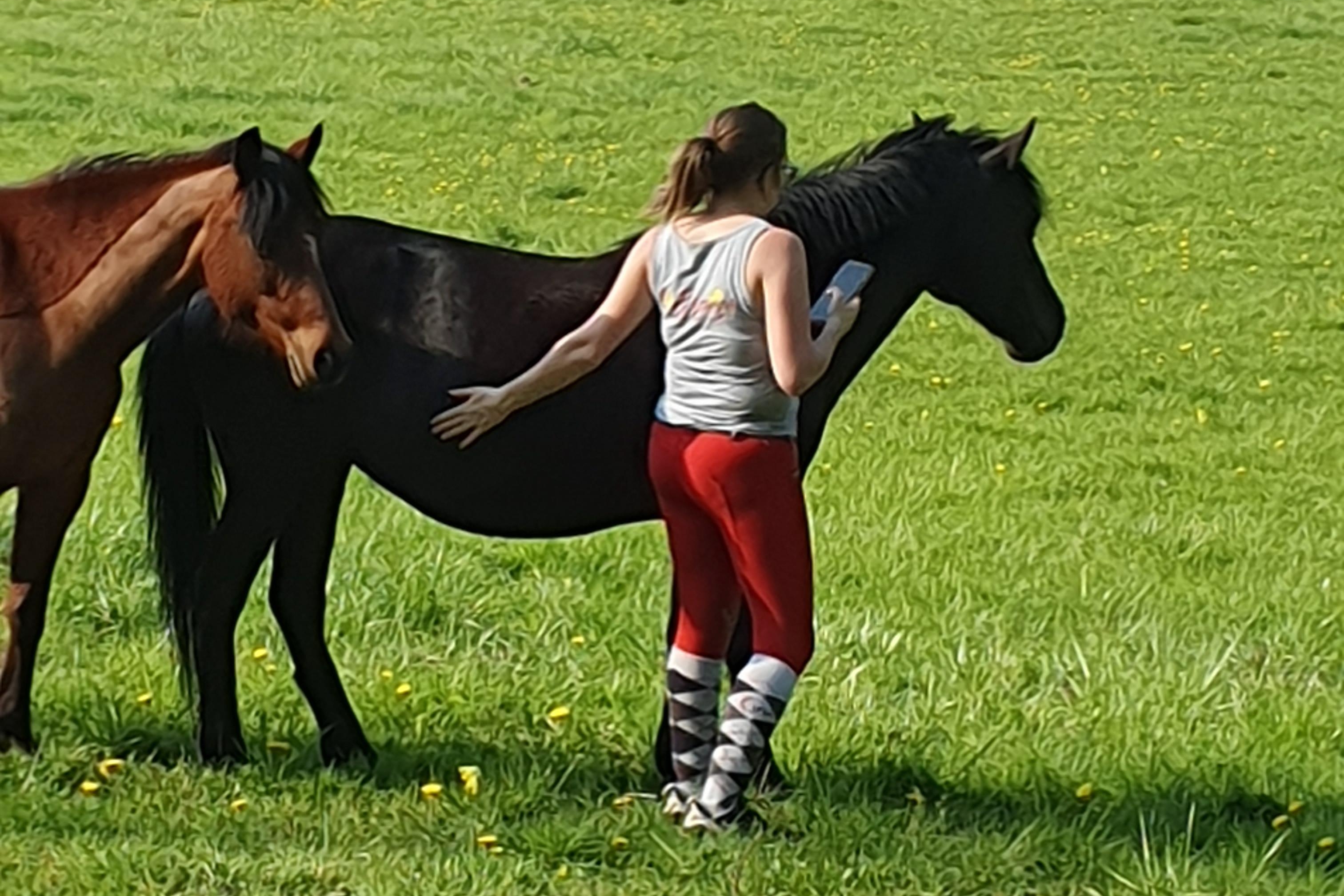 Mon poney pour une journée