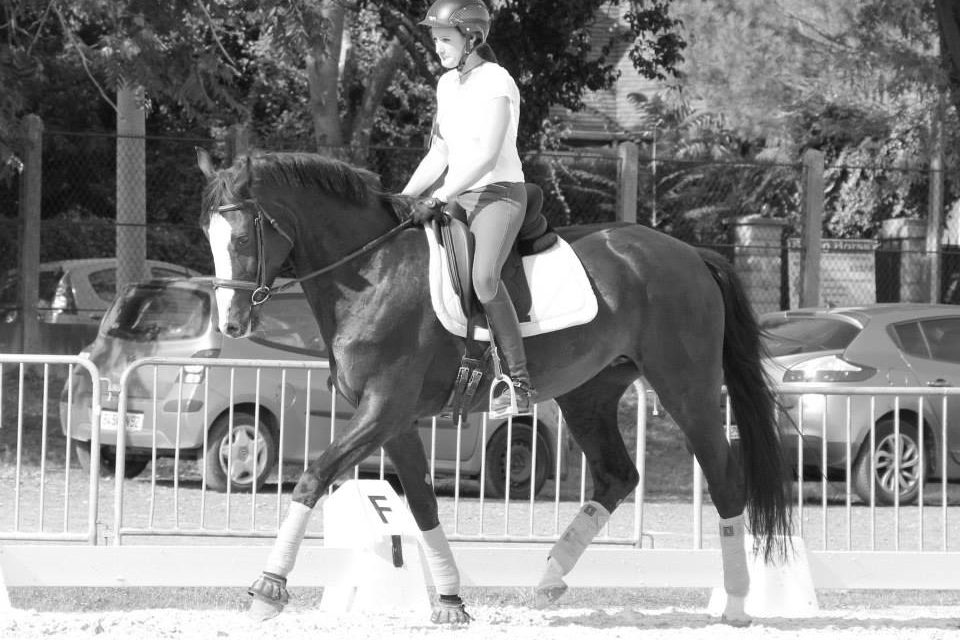 COUPE DRESSAGE